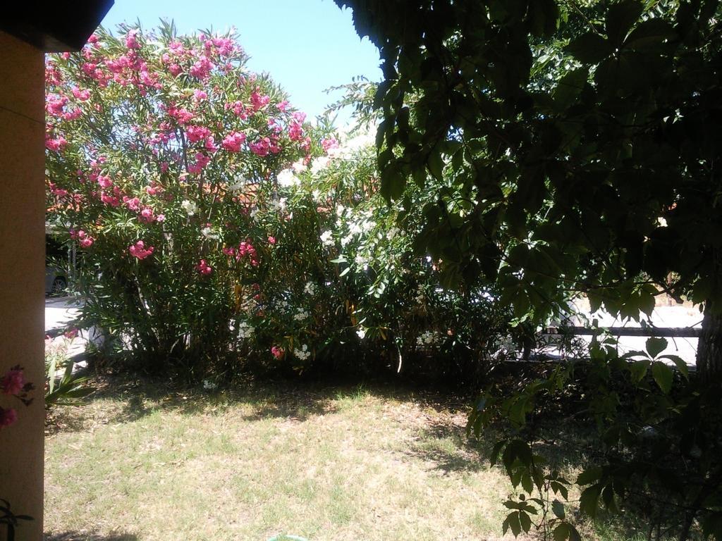 Apartament Monolocale San Teodoro Pokój zdjęcie
