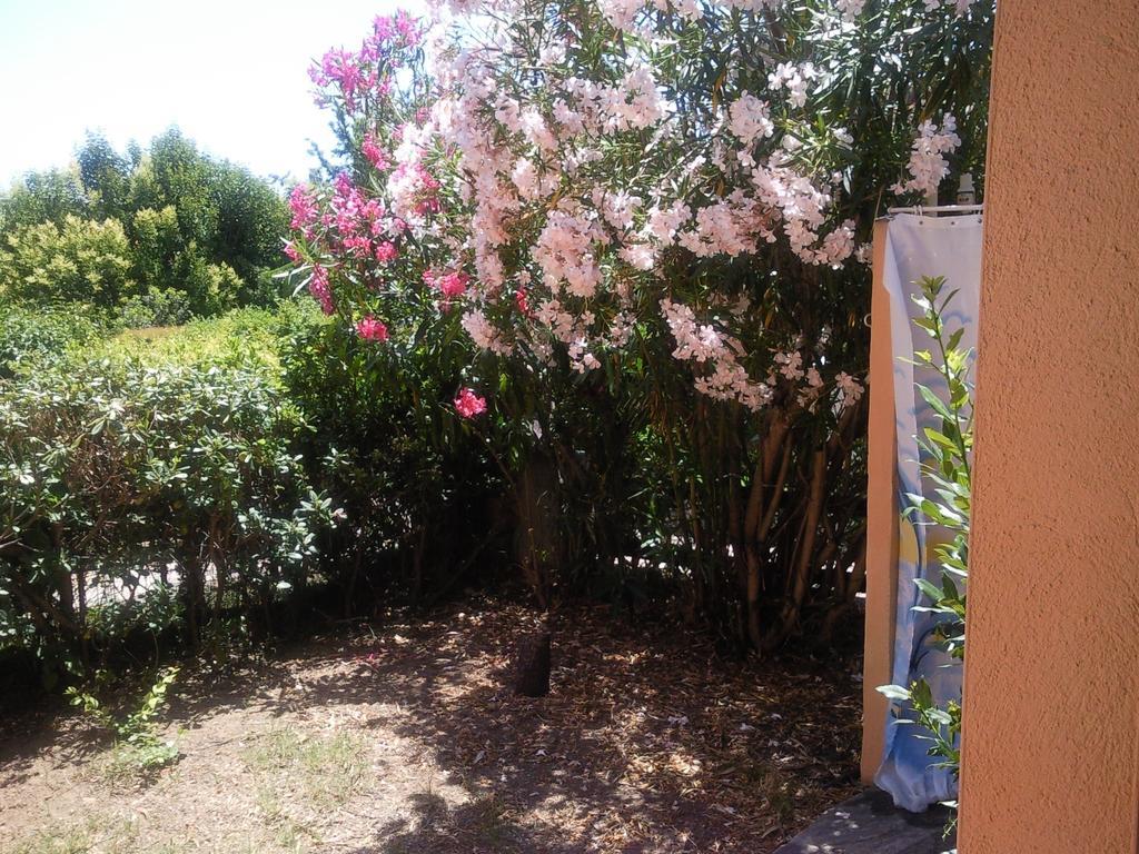 Apartament Monolocale San Teodoro Pokój zdjęcie